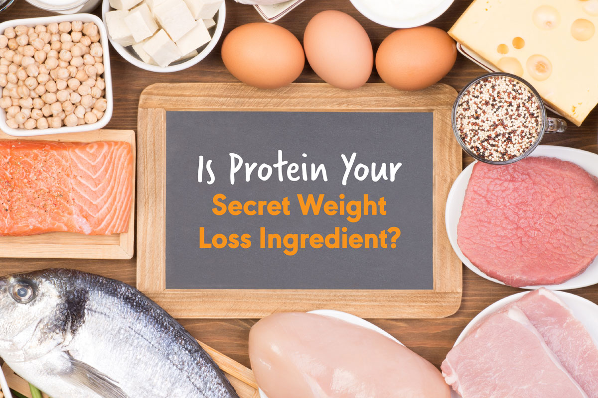 Is Protein Your Secret Weight Loss Ingredient? dietflex
