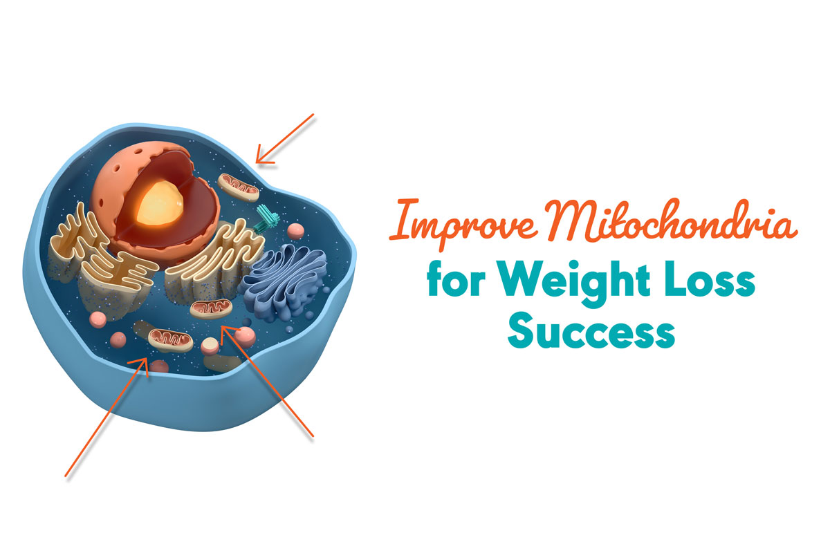 neurofeedback for cognitive optimization